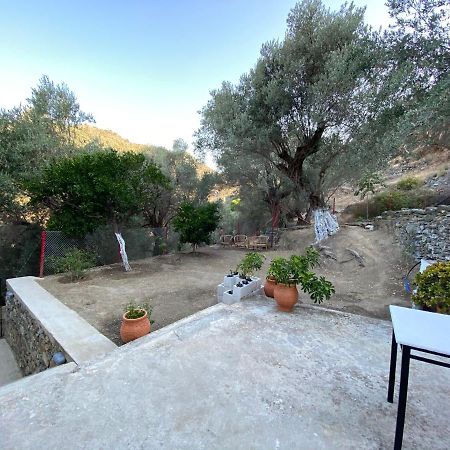 House With Beautiful Garden In Plomari Apartment Exterior photo