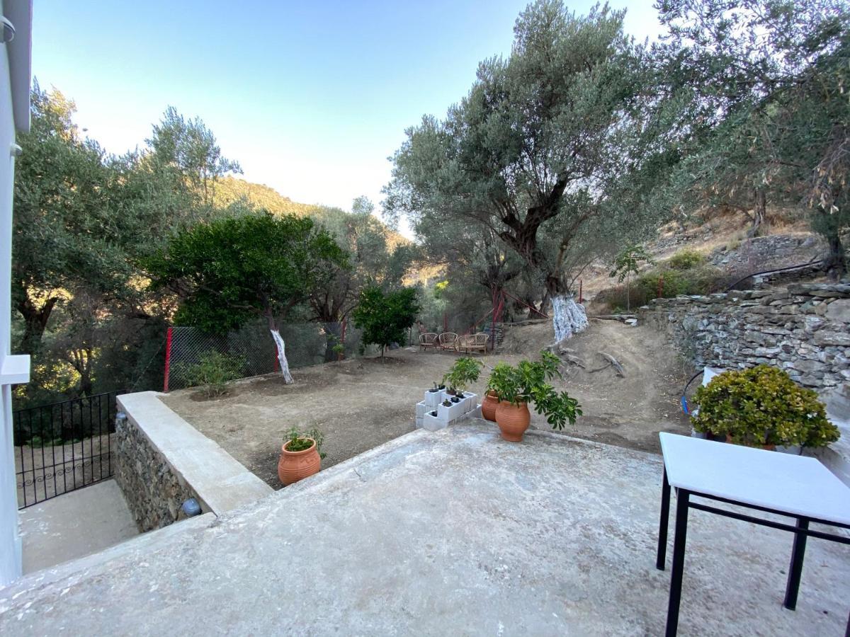 House With Beautiful Garden In Plomari Apartment Exterior photo