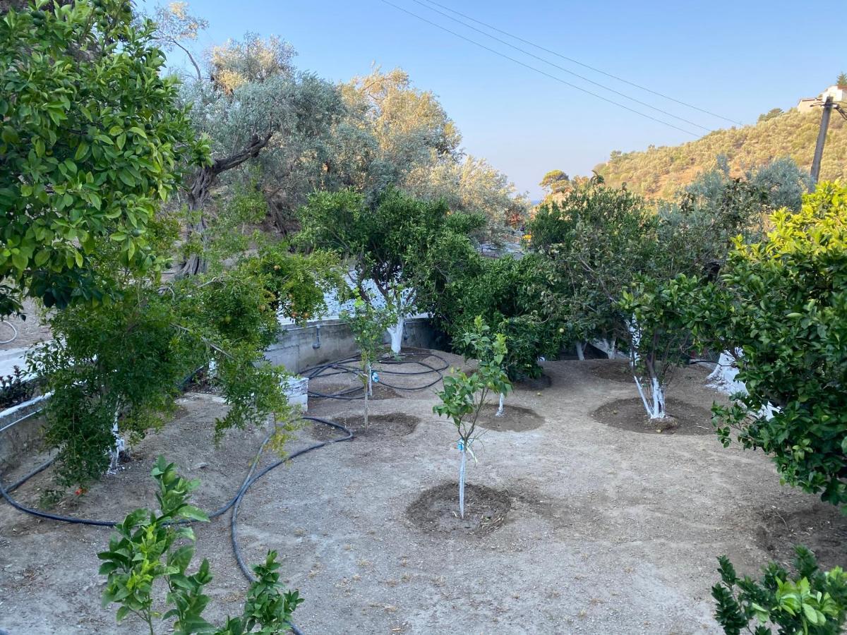 House With Beautiful Garden In Plomari Apartment Exterior photo